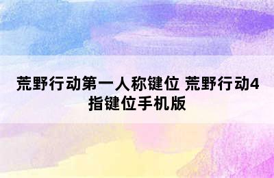 荒野行动第一人称键位 荒野行动4指键位手机版